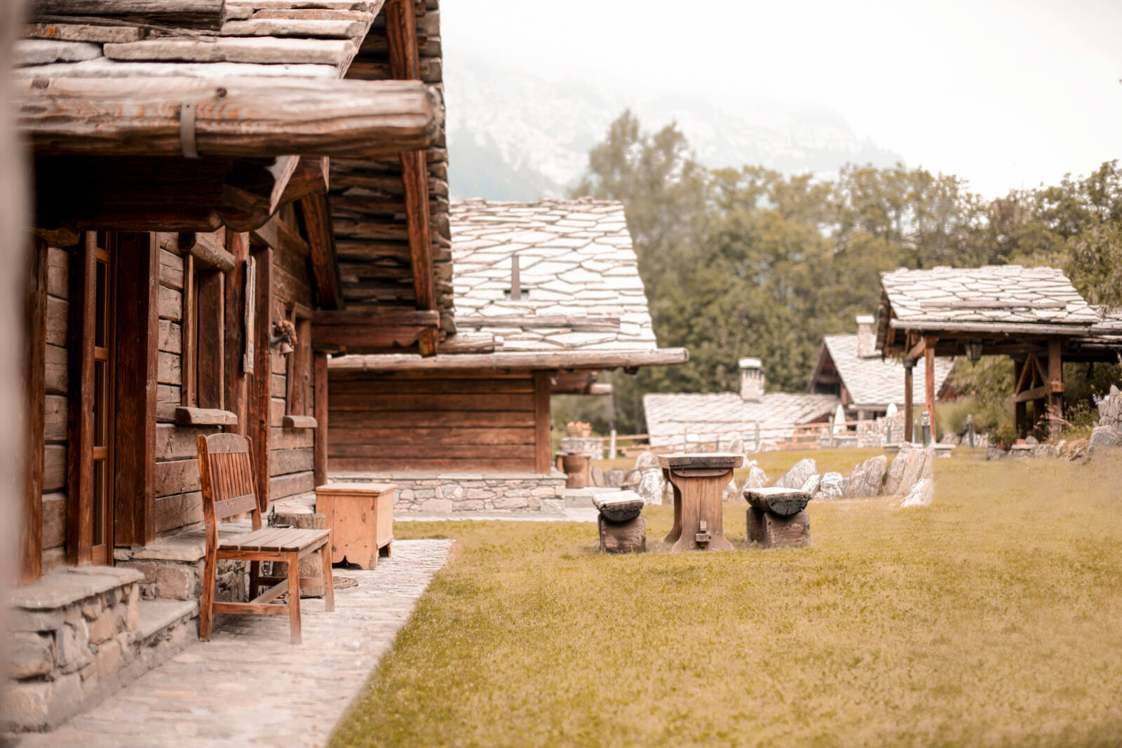 Au Coeur Des Neiges Resort