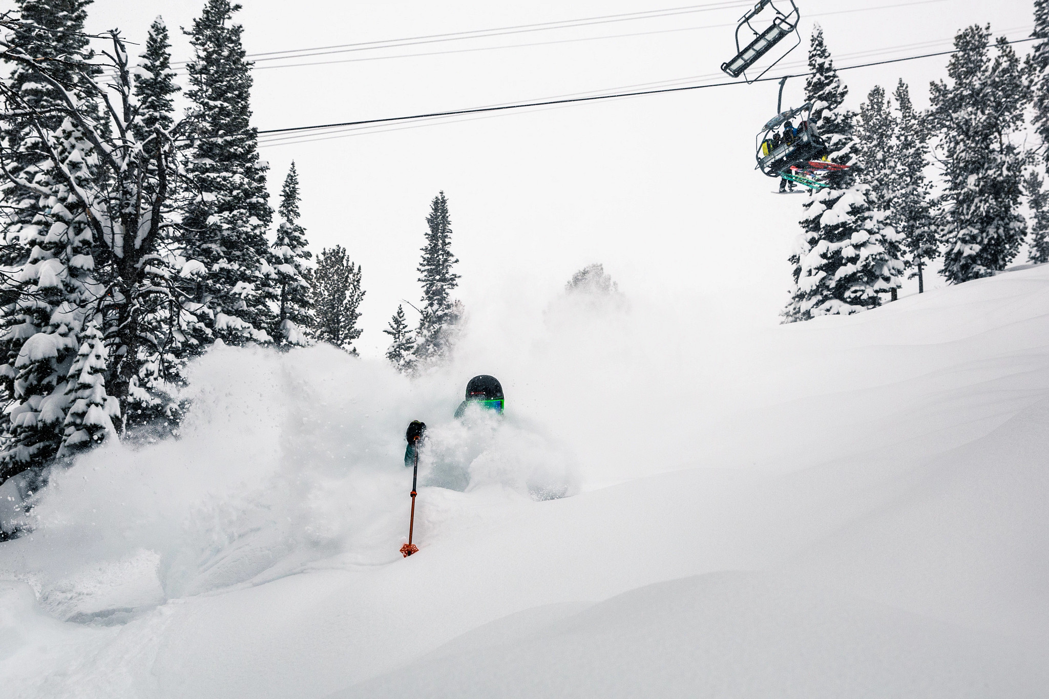 Skier in black helmet and goggles navigating deep powder snow, surrounded by snow-covered trees.