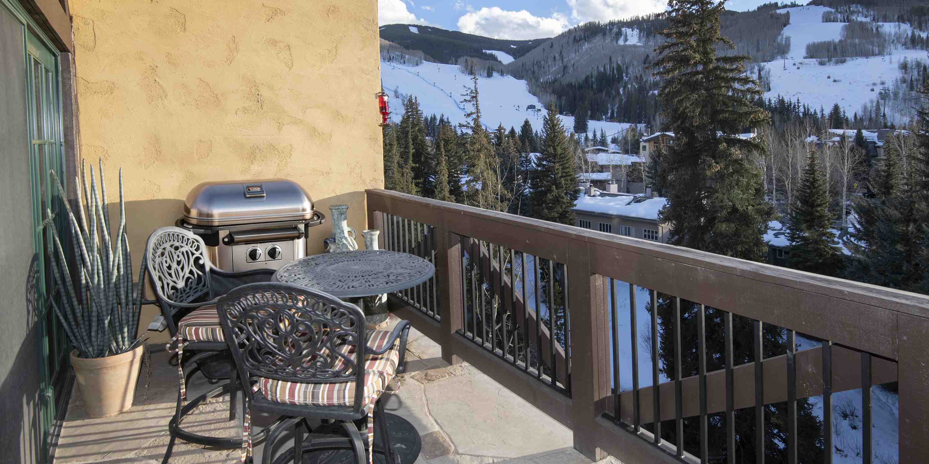 Vail Mountain View