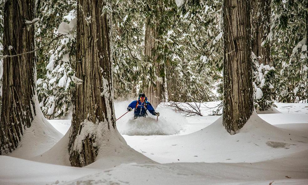 Eleven Revelstoke Lodge