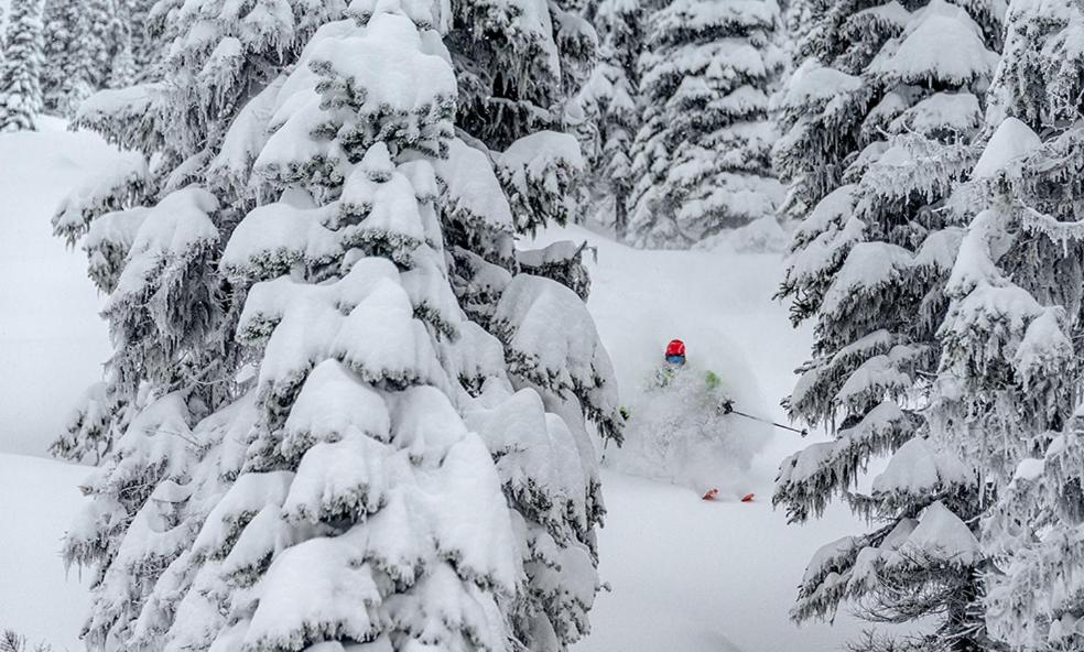 Eleven Revelstoke Lodge